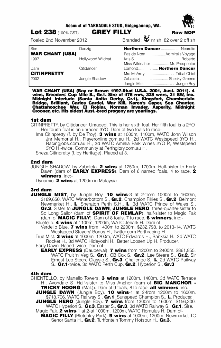 War Citi (AUS) - pedigree