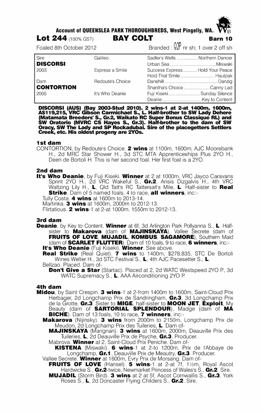 Discorsi (AUS) / Contortion (AUS) - pedigree