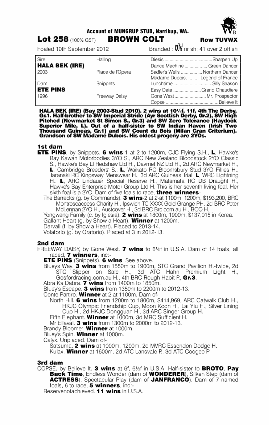 Hala Bek (IRE) / Ete Pins (AUS) - pedigree