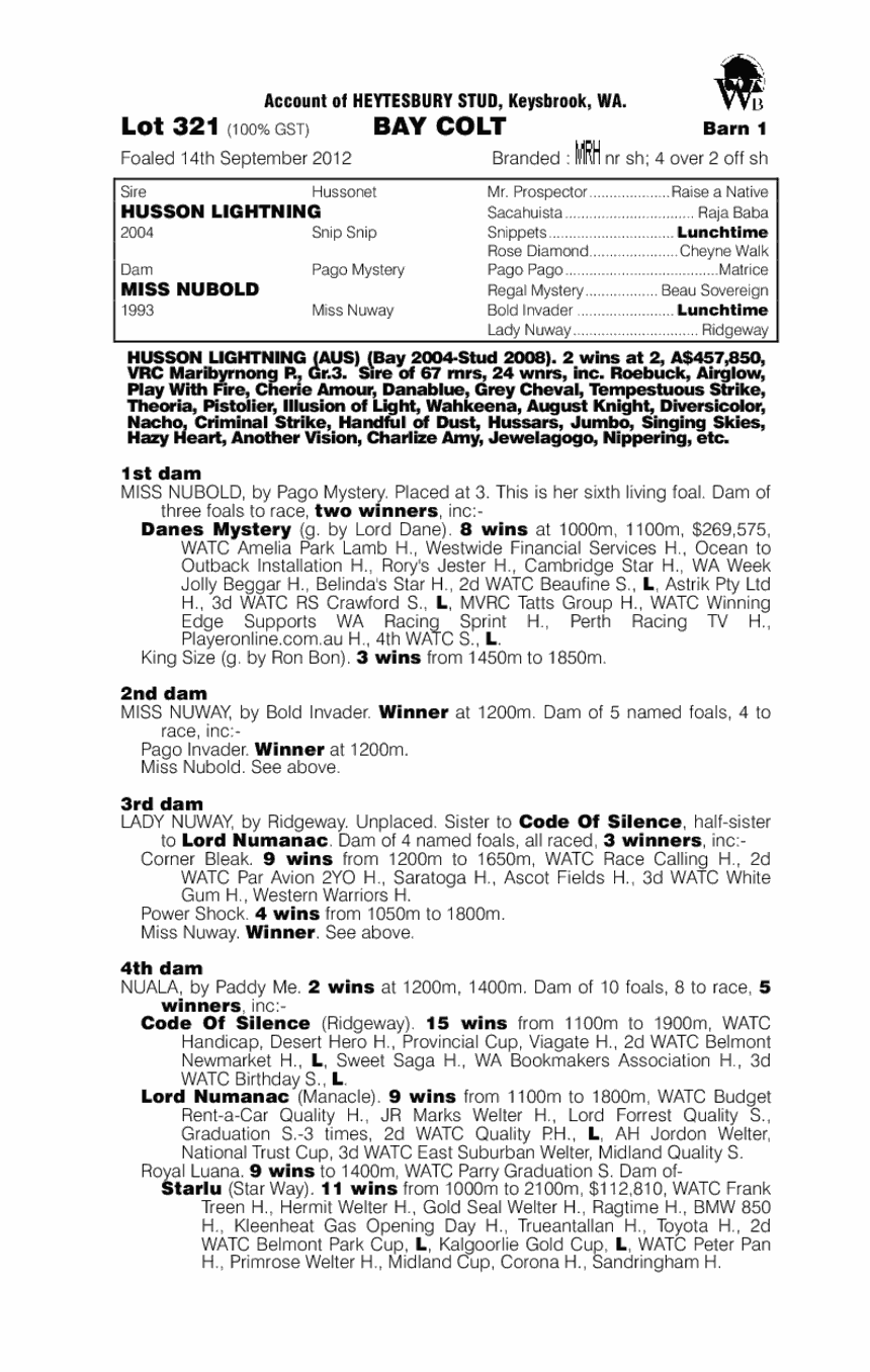 Husson Lightning (AUS) / Miss Nubold (AUS) - pedigree
