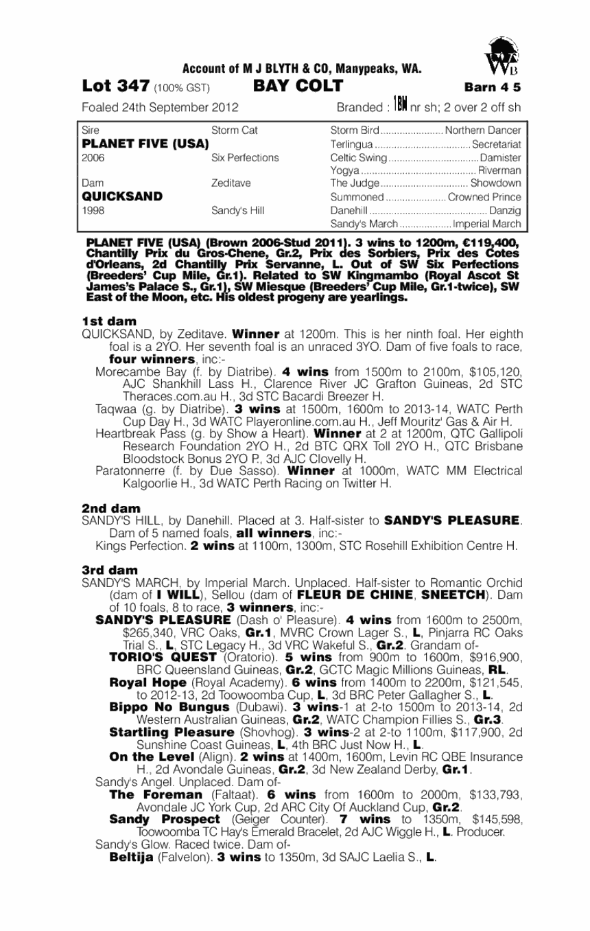 Plan It Quick (AUS) - pedigree