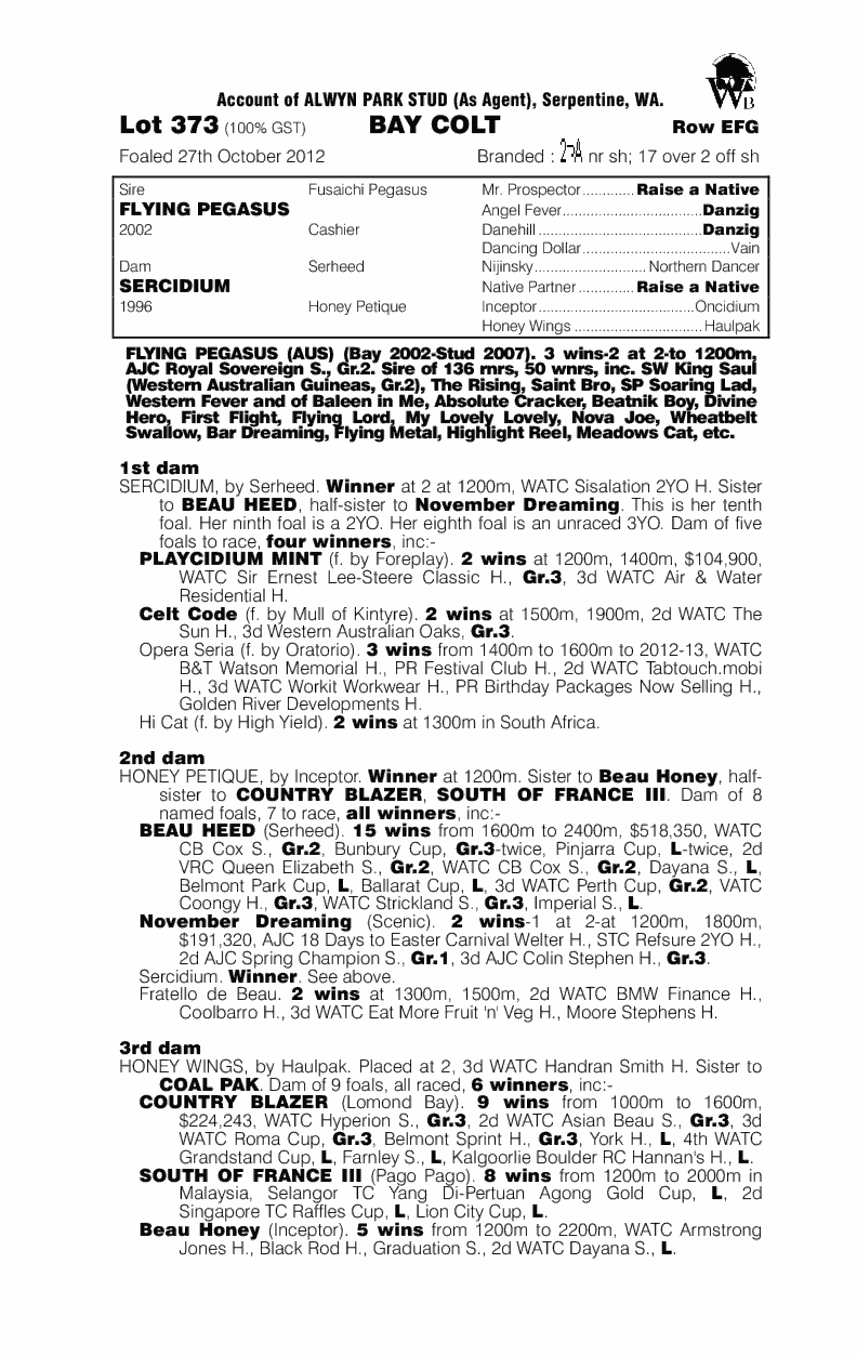 Flying Pegasus (AUS) / Sercidium (AUS) - pedigree
