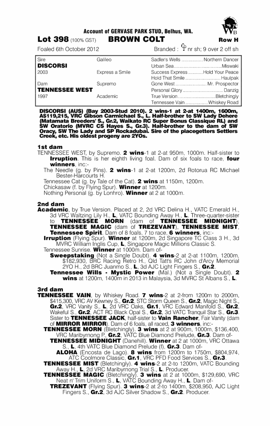 Tennessee Disco (AUS) - pedigree