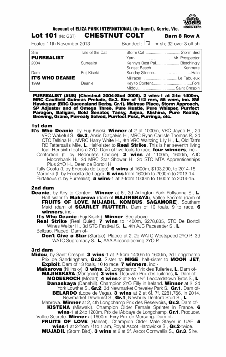 Purrealist (AUS) / It's Who Deanie (AUS) - pedigree
