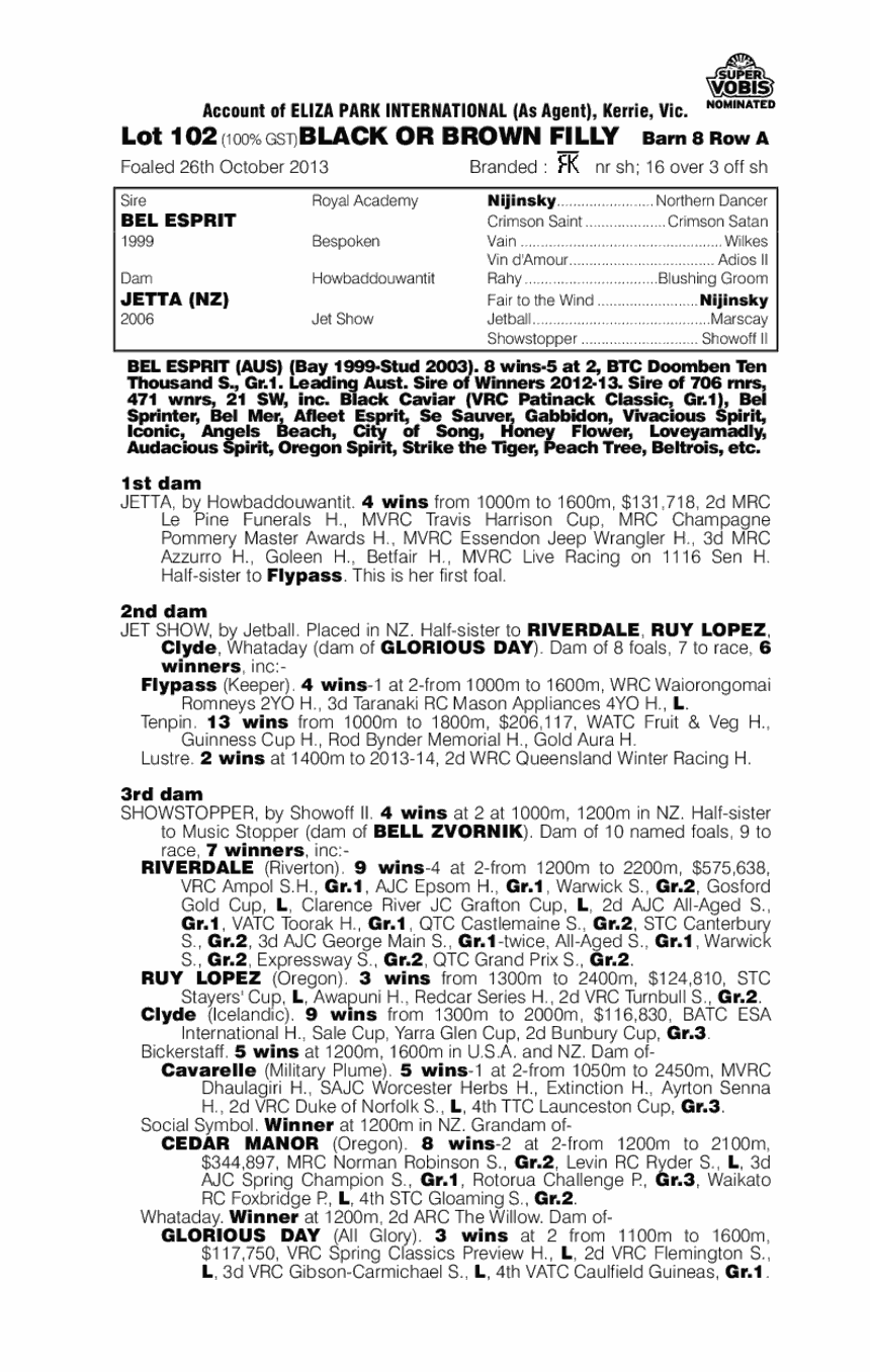 Bel Esprit (AUS) / Jetta (NZ) - pedigree