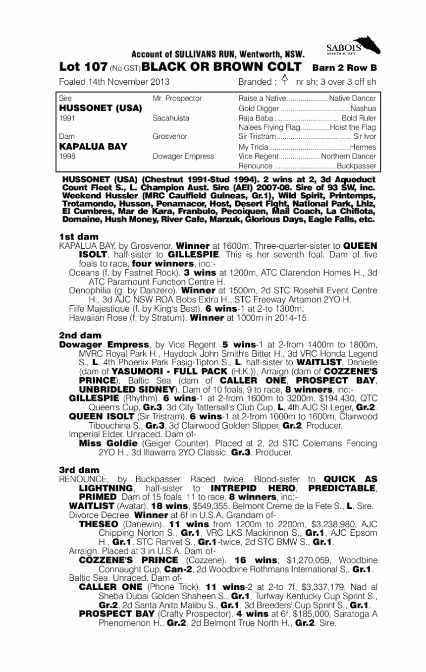 Hussonet (USA) / Kapalua Bay (AUS) - pedigree