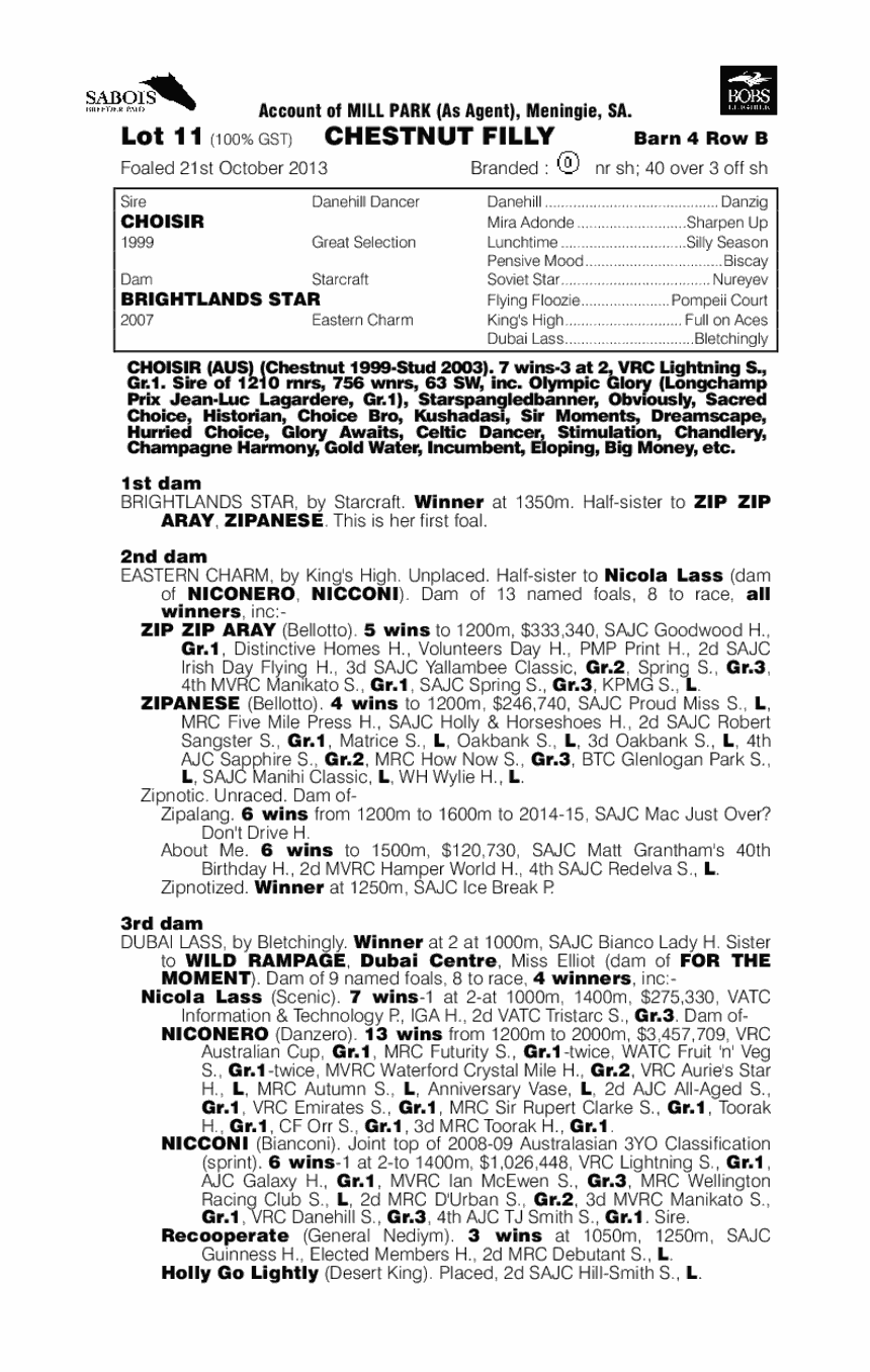 Choisir (AUS) / Brightlands Star (AUS) - pedigree