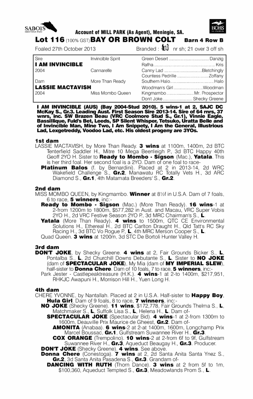 I Am Invincible (AUS) / Lassie Mactavish (AUS) - pedigree