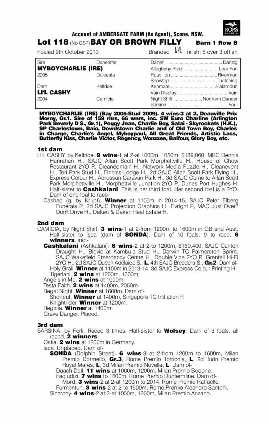 Myboycharlie (IRE) / Li'l Cashy (AUS) - pedigree