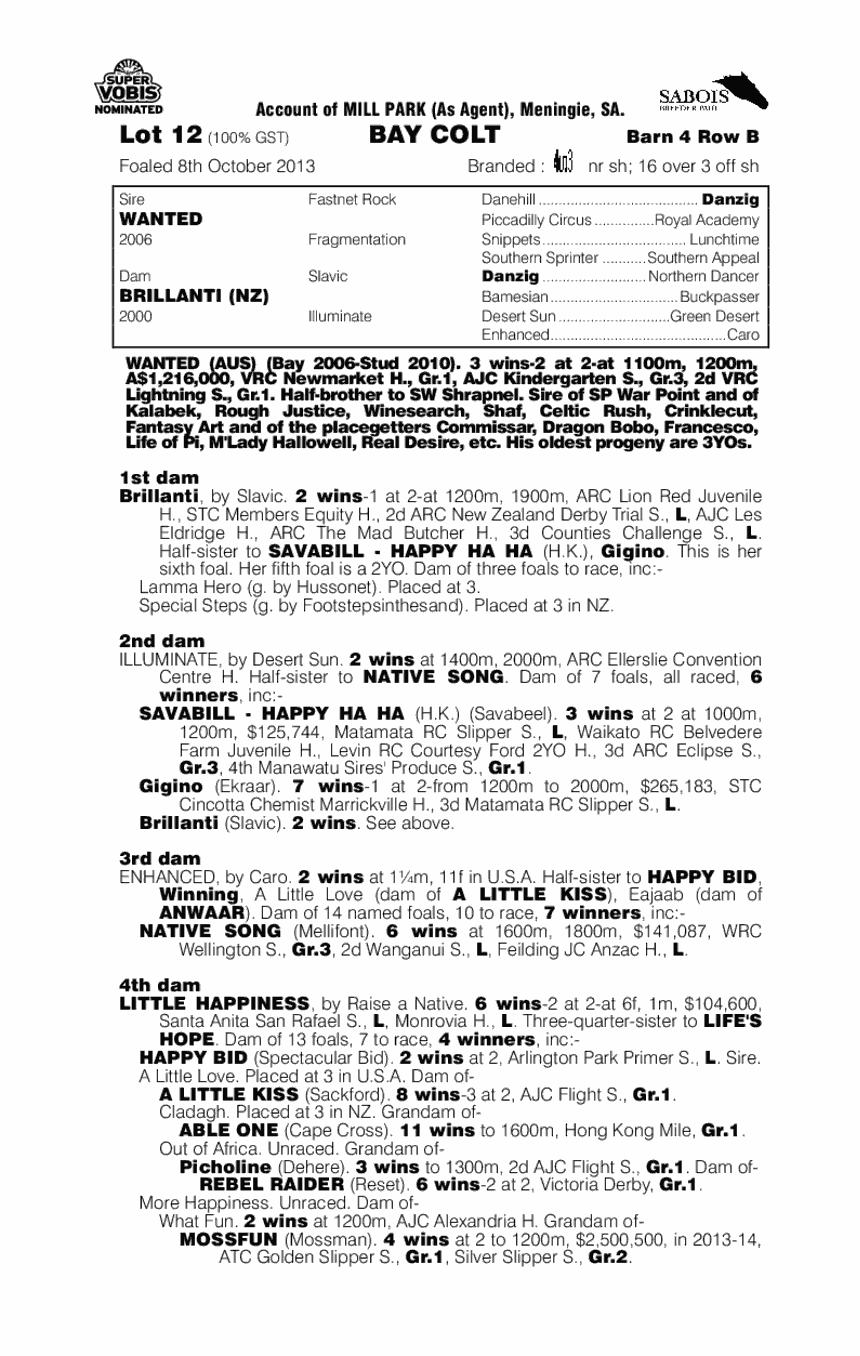 Wanted (AUS) / Brillanti (NZ) - pedigree
