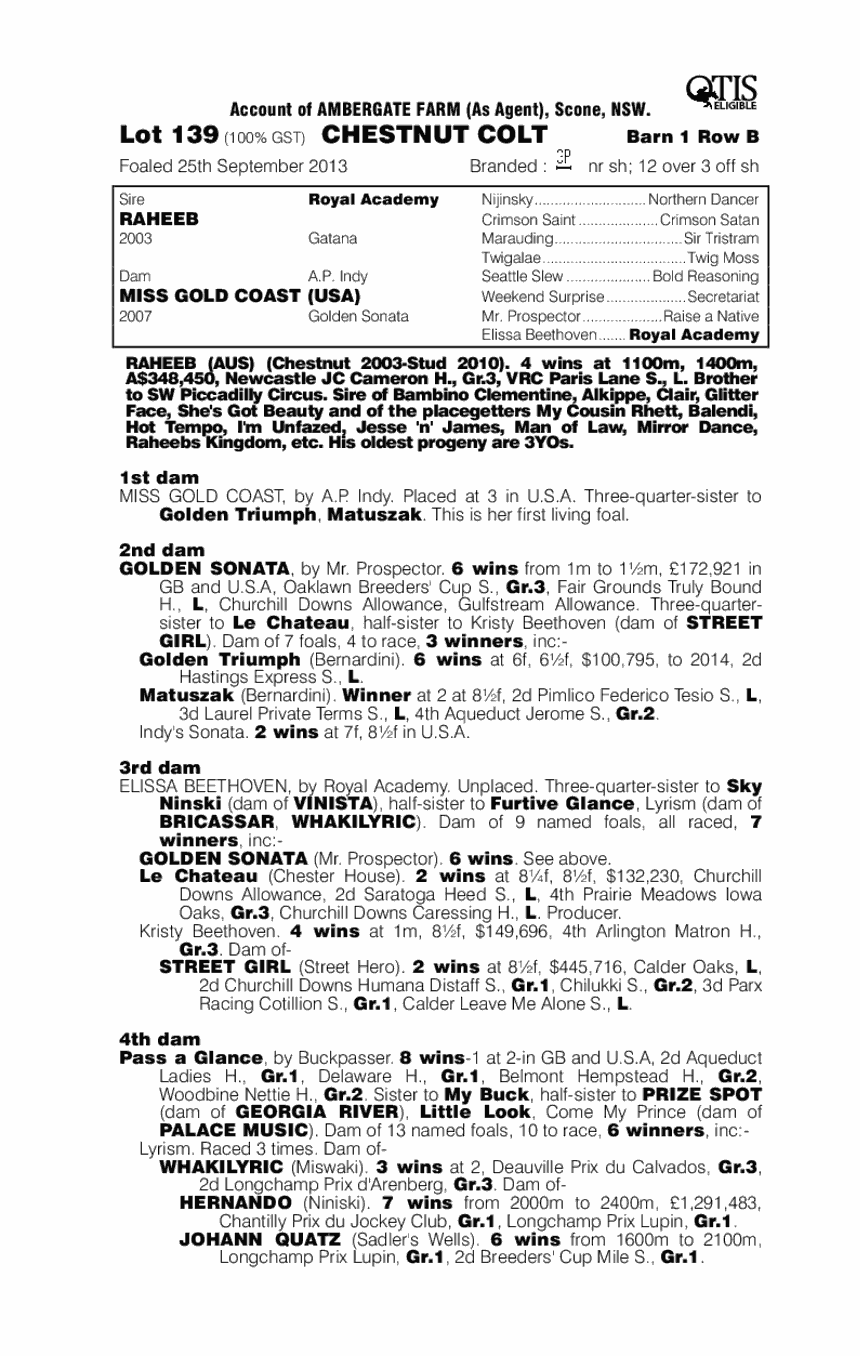 Raheeb (AUS) / Miss Gold Coast (USA) - pedigree