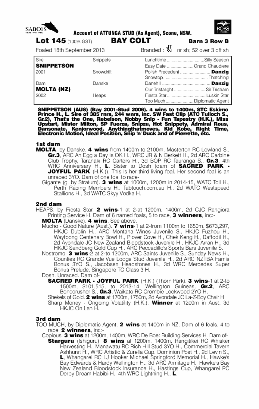 Amachi (AUS) - pedigree