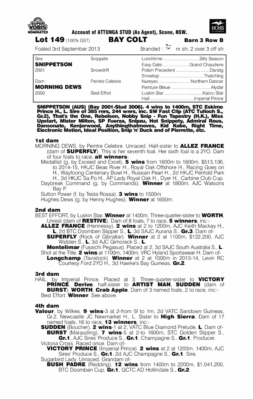 Hoodless (AUS) - pedigree