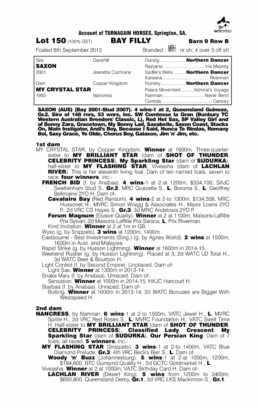 Saxon (AUS) / My Crystal Star (AUS) - pedigree