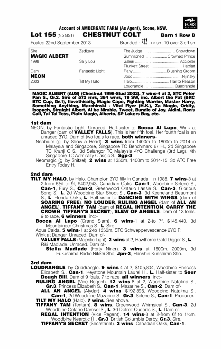 Magic Albert (AUS) / Neon (AUS) - pedigree