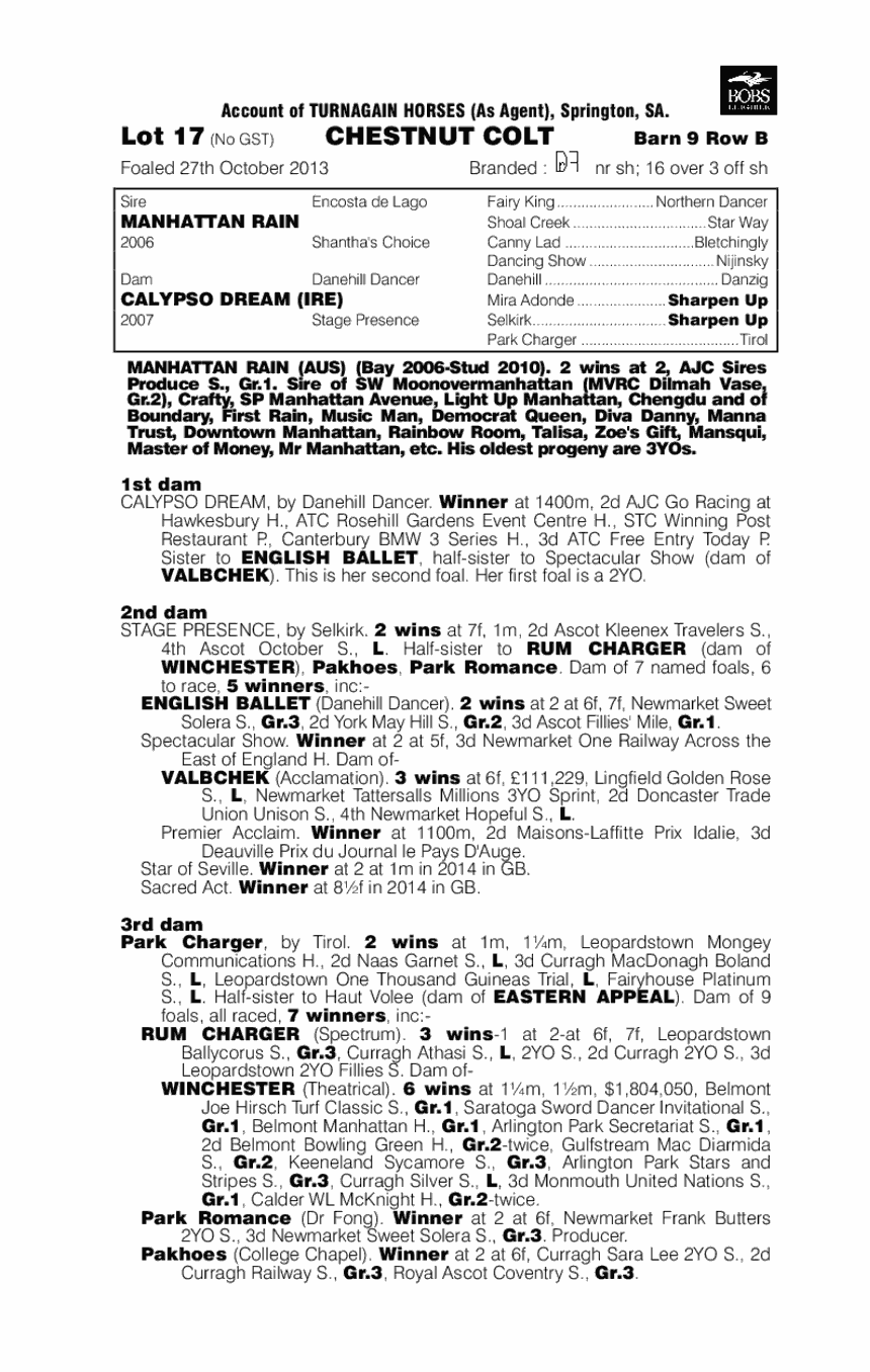 Manhattan Rain (AUS) / Calypso Dream (IRE) - pedigree