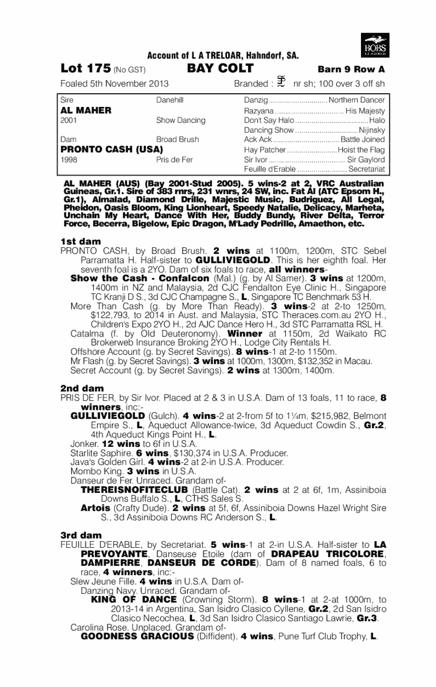 Al Maher (AUS) / Pronto Cash (USA) - pedigree