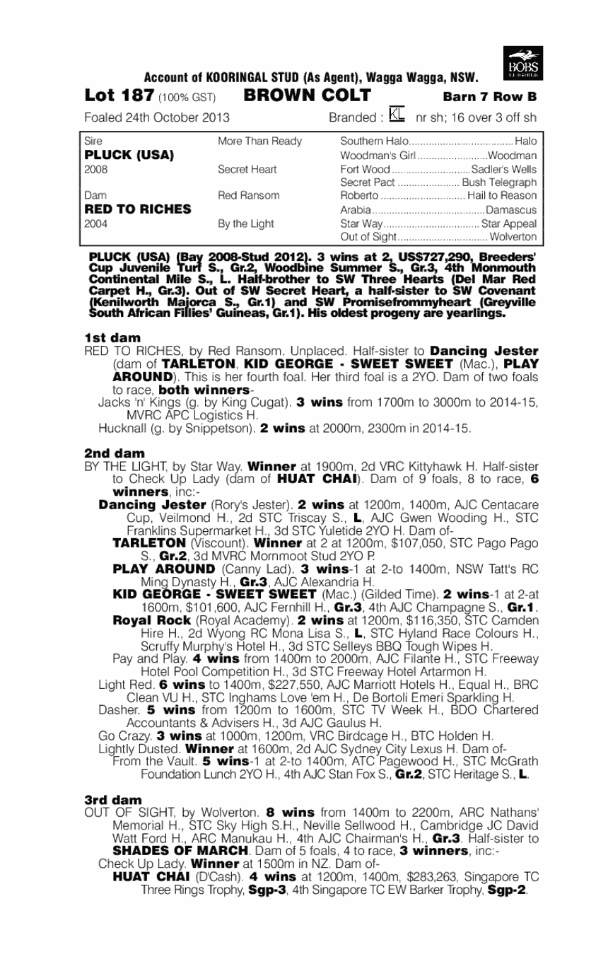 Pluck (USA) / Red To Riches (AUS) - pedigree
