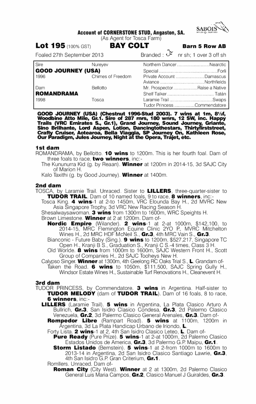 Zalmona (AUS) - pedigree