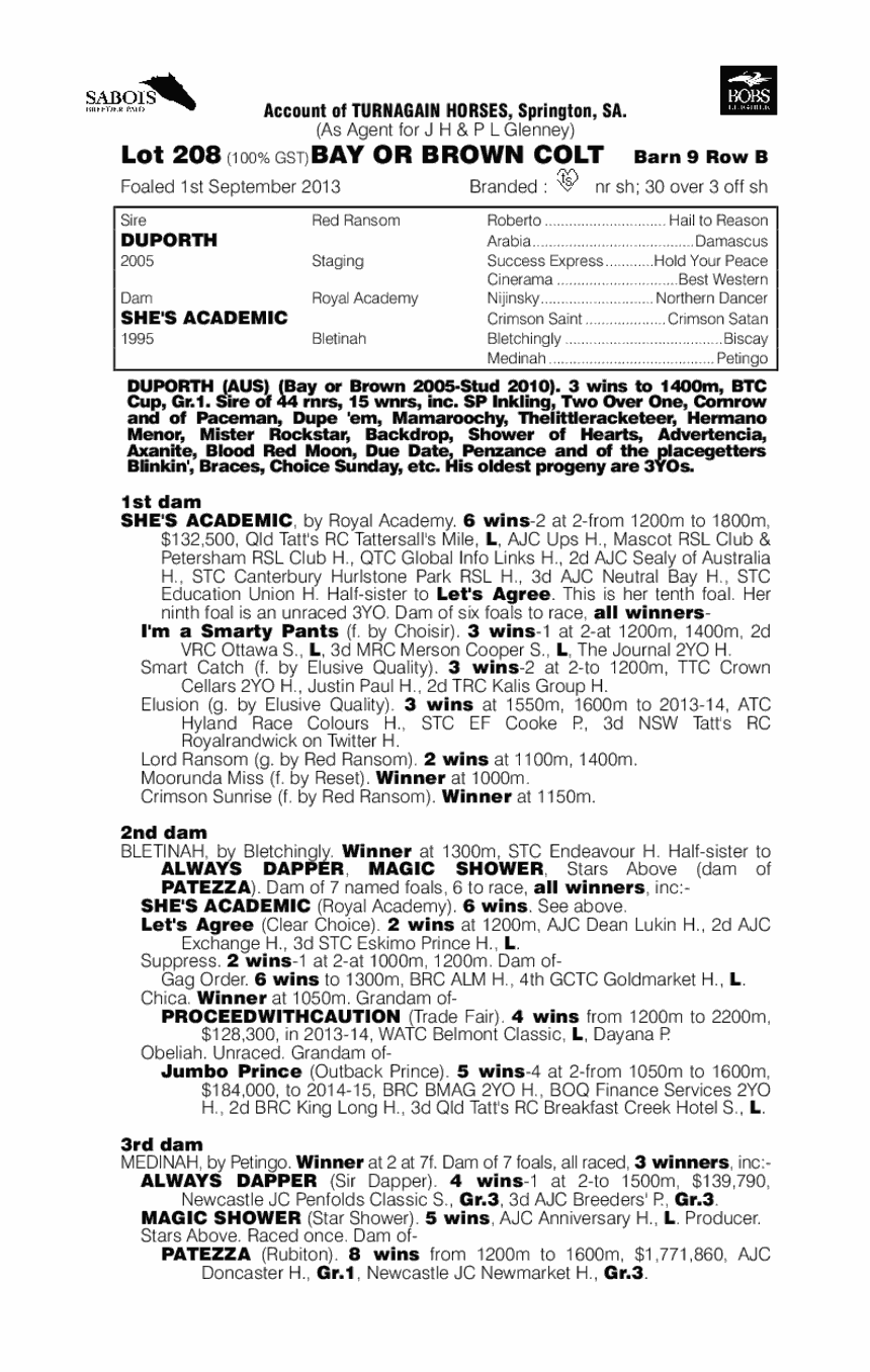 Duporth (AUS) / She's Academic (AUS) - pedigree