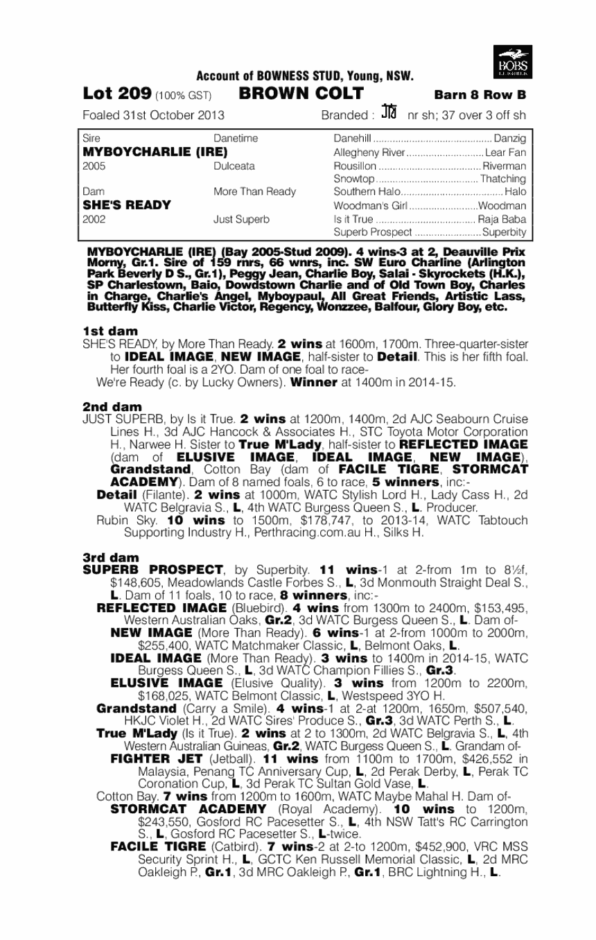 Myboycharlie (IRE) / She's Ready (AUS) - pedigree