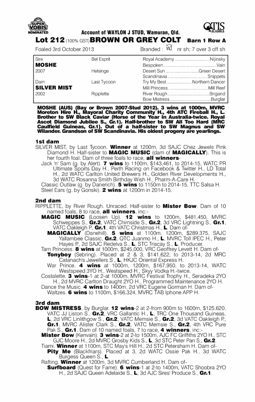 Moshe (AUS) / Silver Mist (AUS) - pedigree