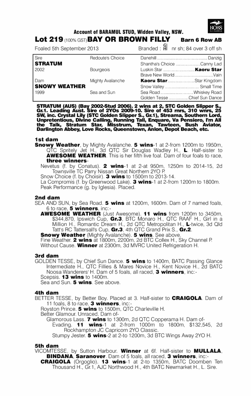 Freezing Cold (AUS) - pedigree