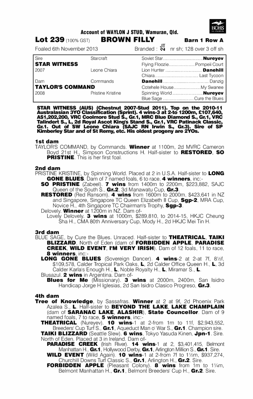 Star Witness (AUS) / Taylor's Command (AUS) - pedigree