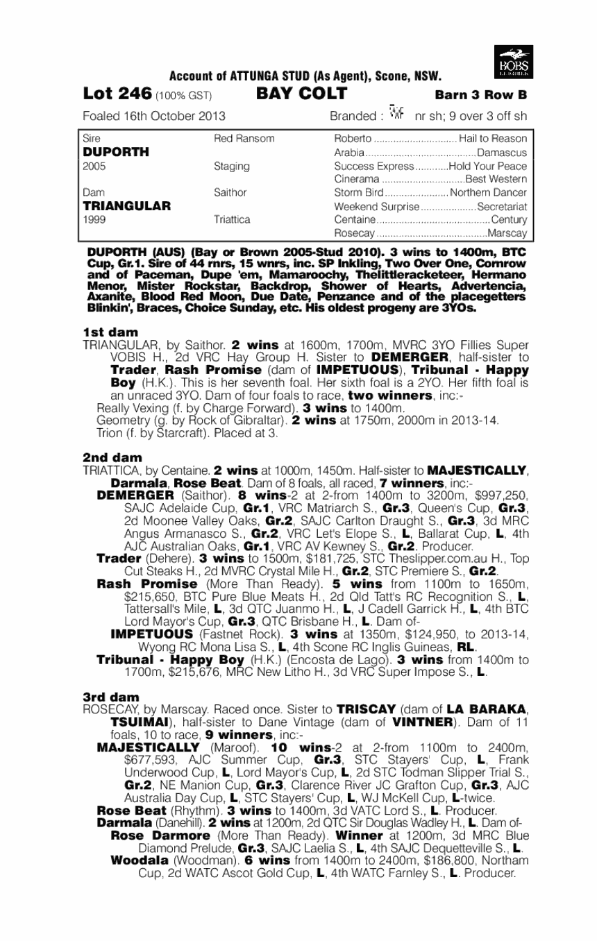 Duporth (AUS) / Triangular (AUS) - pedigree