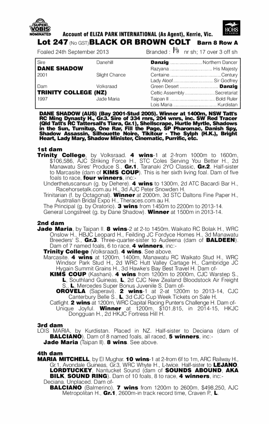 Dane Shadow (AUS) / Trinity College (NZ) - pedigree