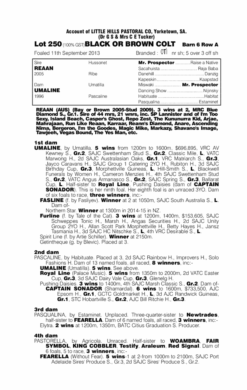 Lord Boom (AUS) - pedigree