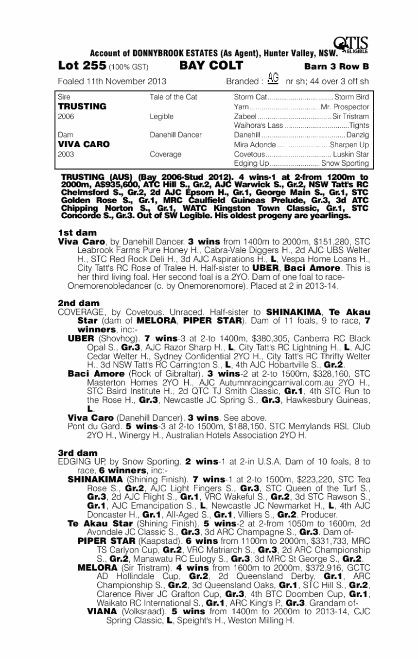 Rocky Marriage (AUS) - pedigree