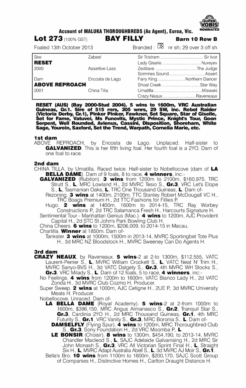 Reset (AUS) / Above Reproach (AUS) - pedigree