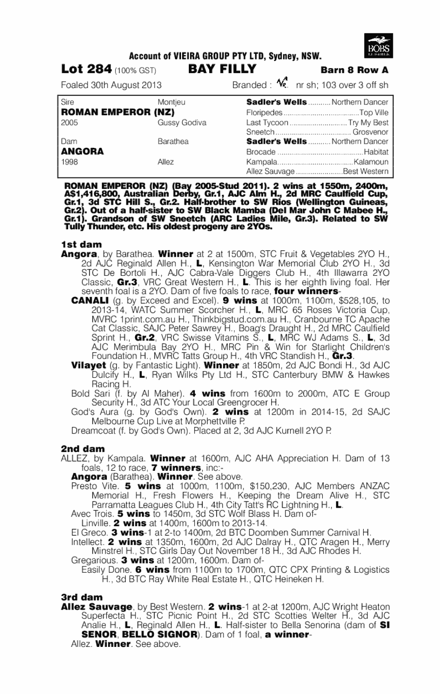 Angora Princess (AUS) - pedigree