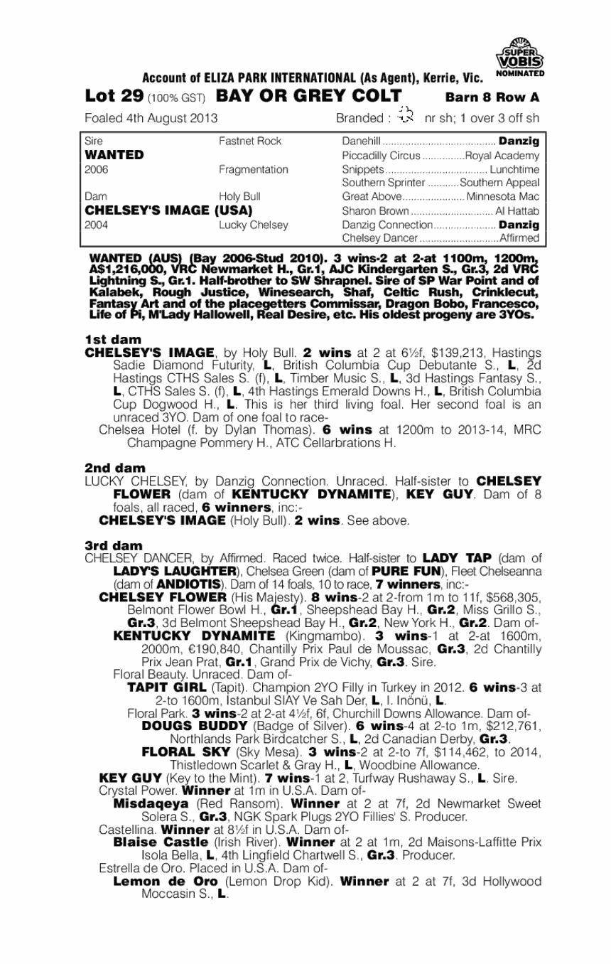 Wanted (AUS) / Chelsey's Image (USA) - pedigree