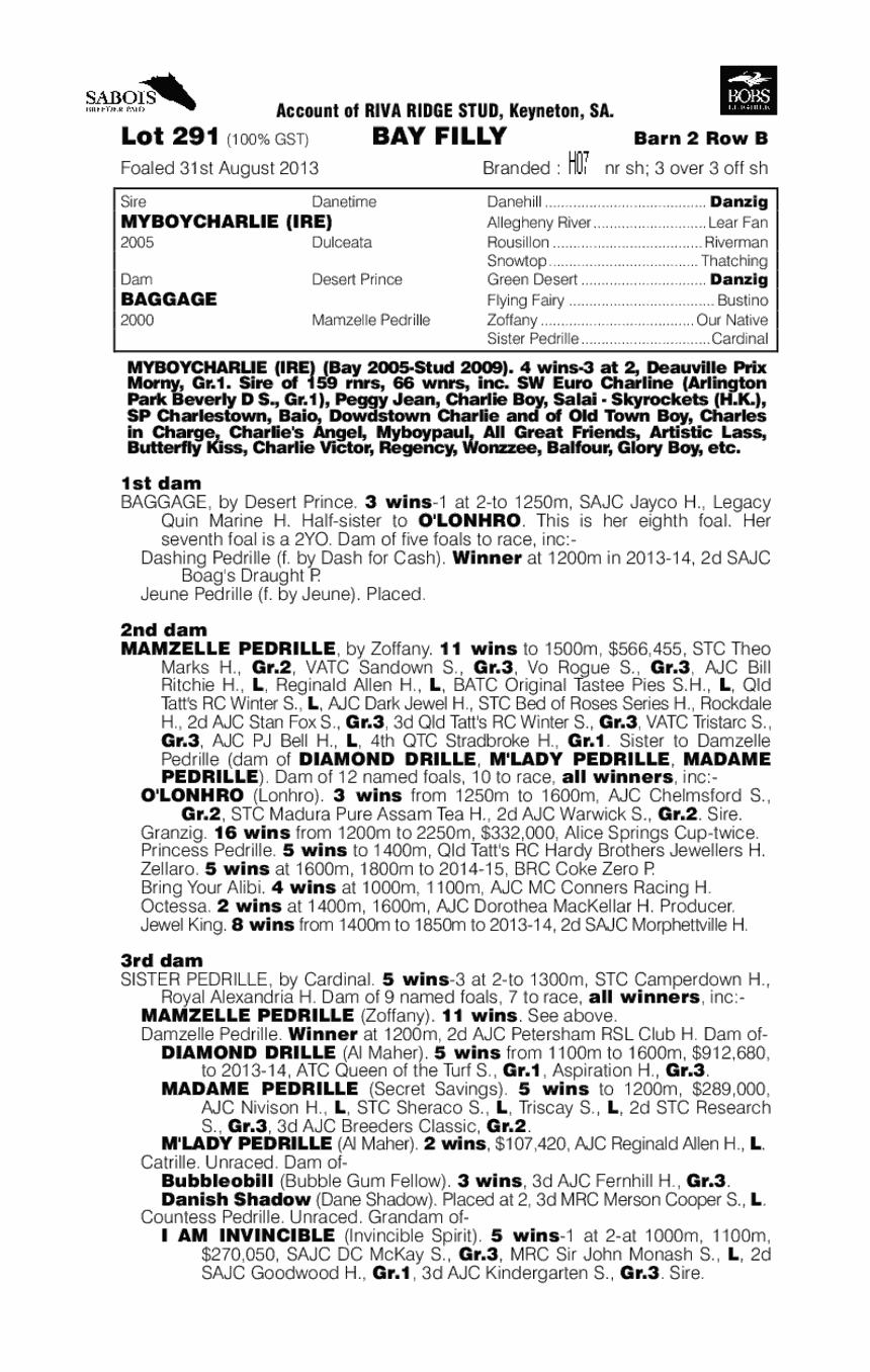 Myboycharlie (IRE) / Baggage (AUS) - pedigree