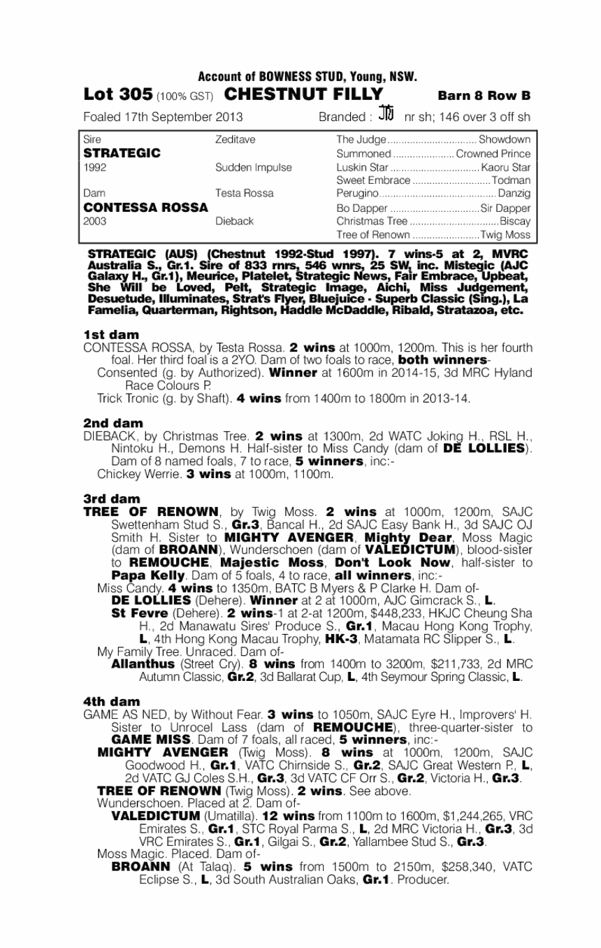 Strategic (AUS) / Contessa Rossa (AUS) - pedigree