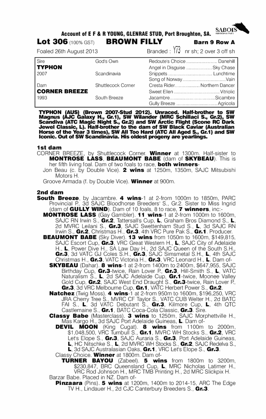 Typhon (AUS) / Corner Breeze (AUS) - pedigree