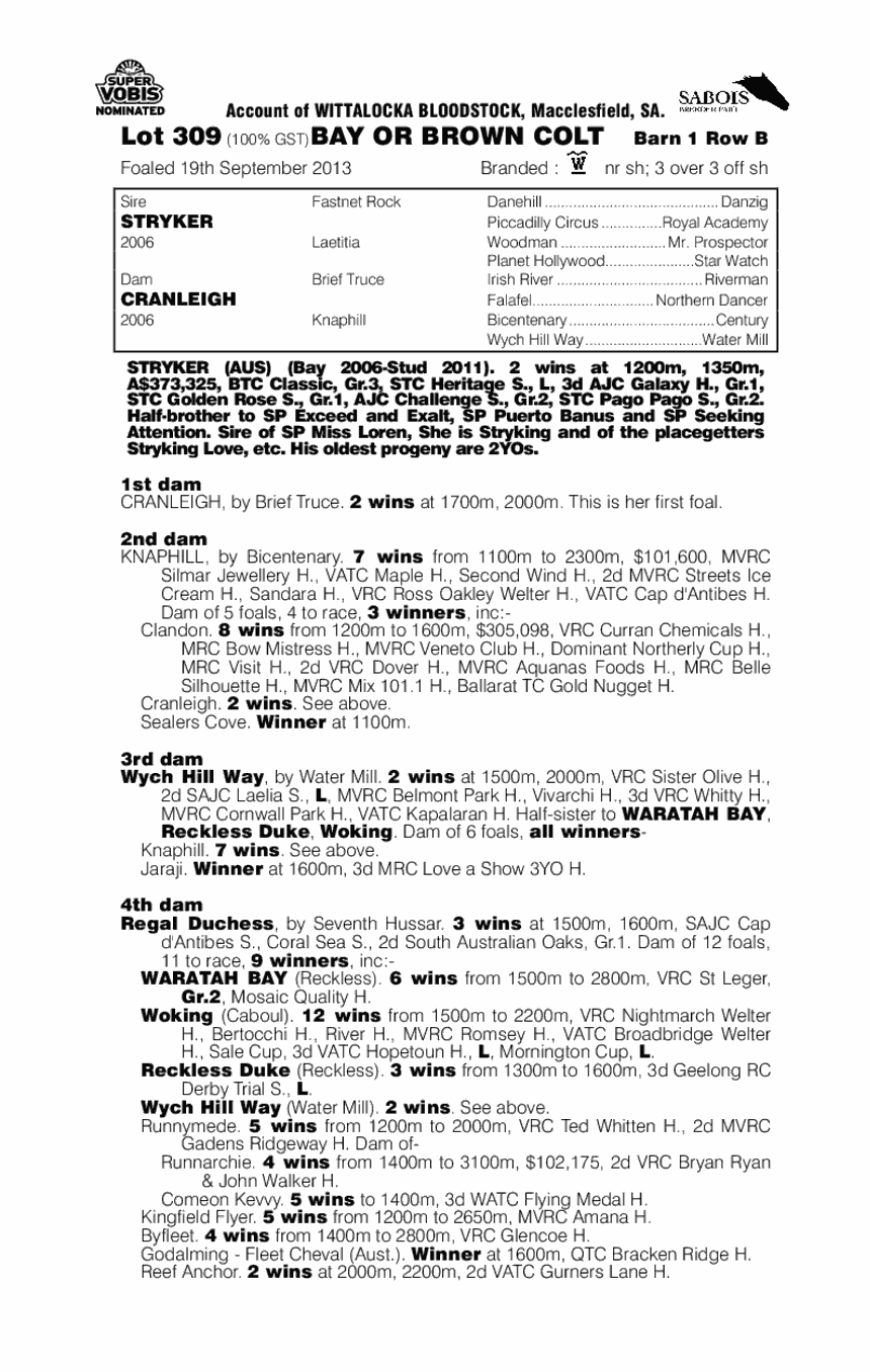 Semi Automatic (AUS) - pedigree