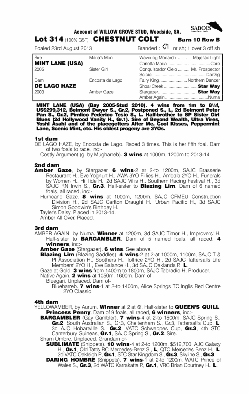 Mint Lane (USA) / De Lago Haze (AUS) - pedigree