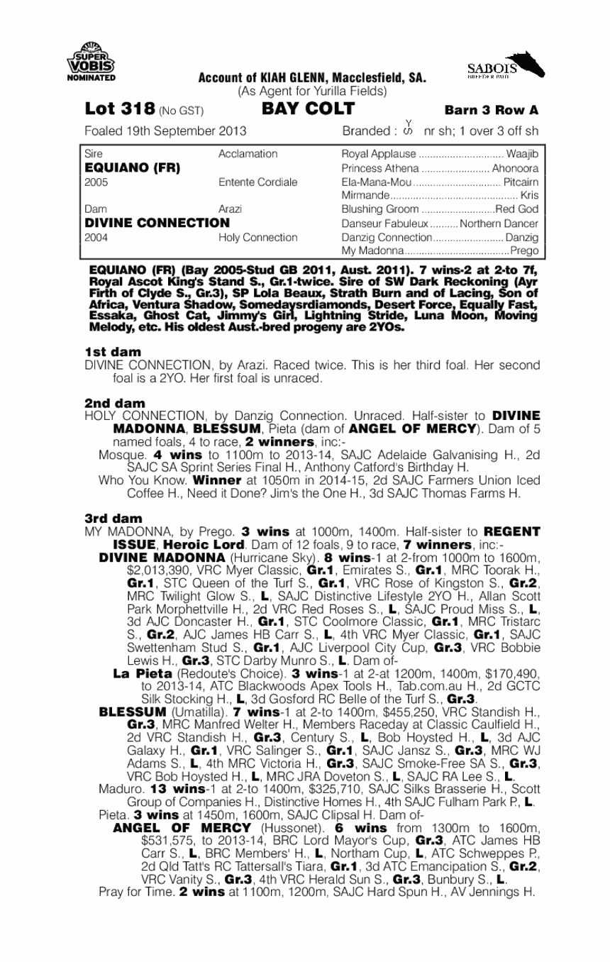 Equiano (FR) / Divine Connection (AUS) - pedigree