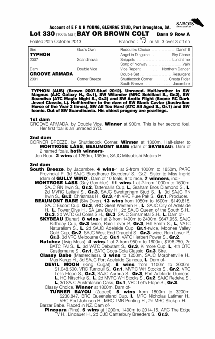 Typhon (AUS) / Groove Armada (AUS) - pedigree