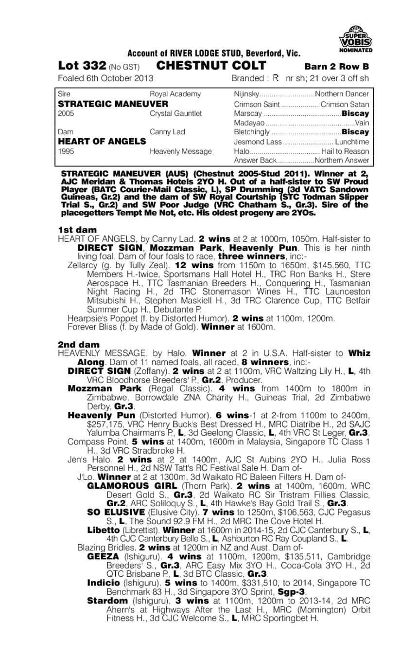 Strategic Maneuver (AUS) / Heart of Angels (AUS) - pedigree