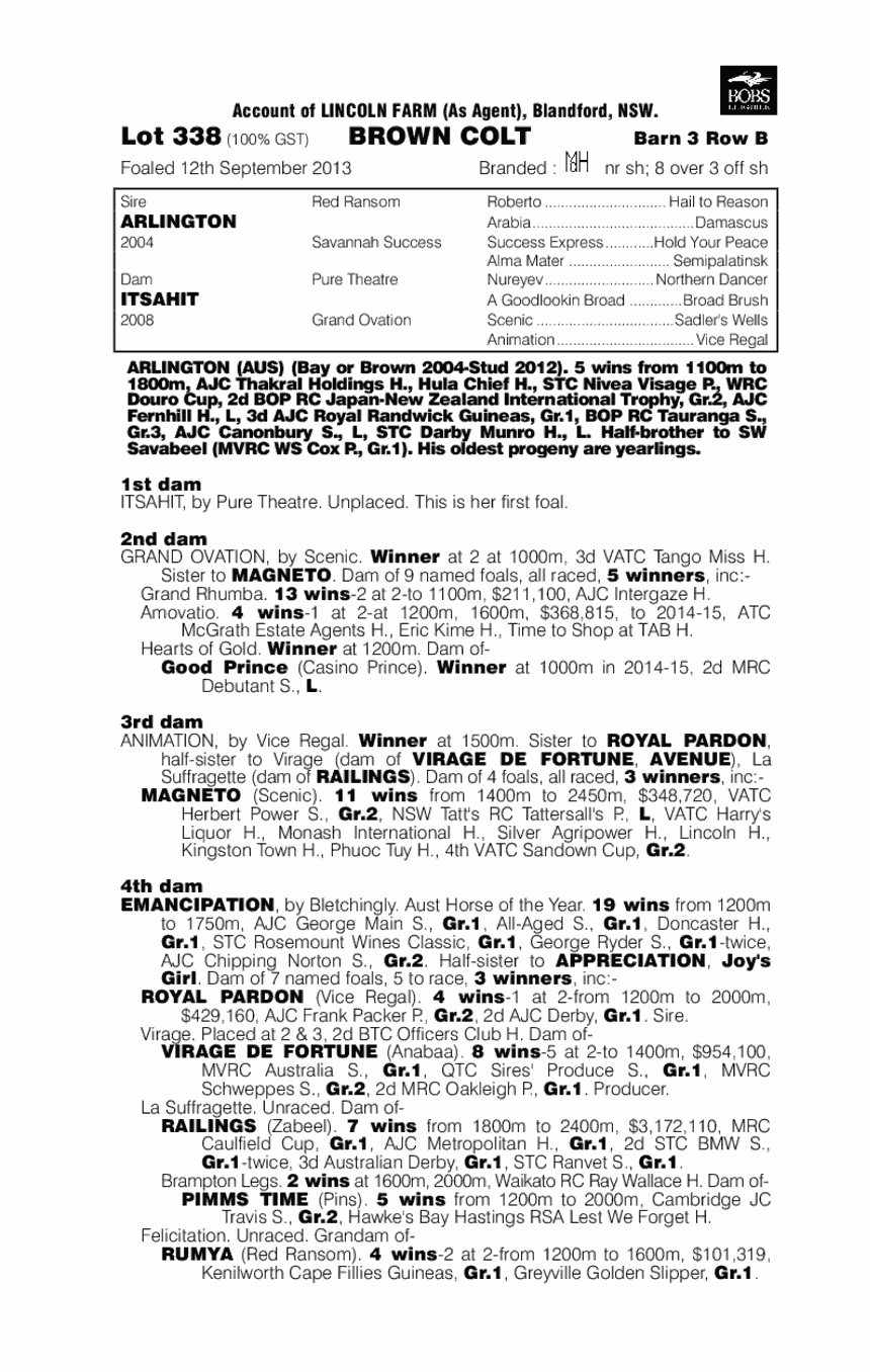 Arlington (AUS) / Itsahit (AUS) - pedigree