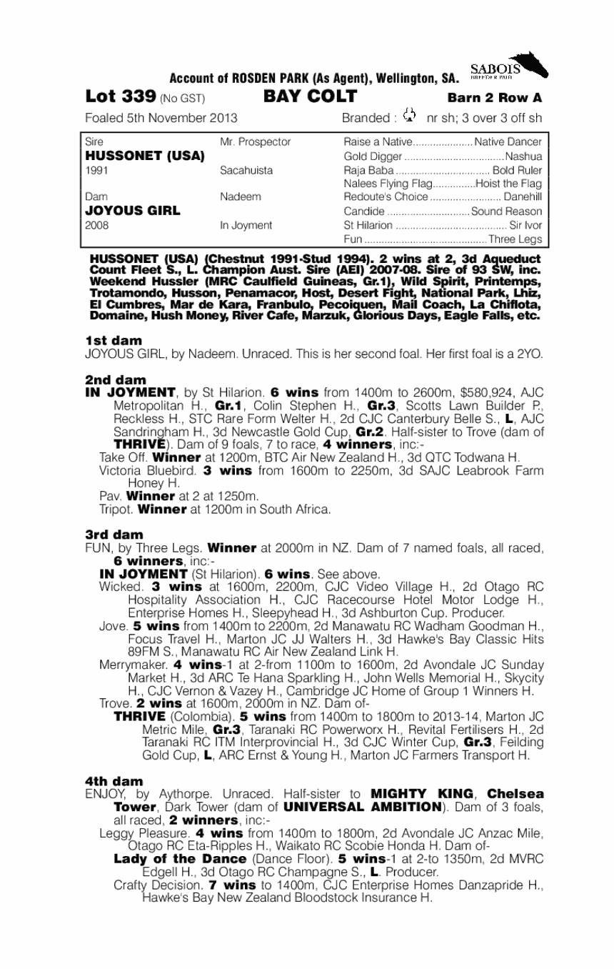 Hussonet (USA) / Joyous Girl (AUS) - pedigree