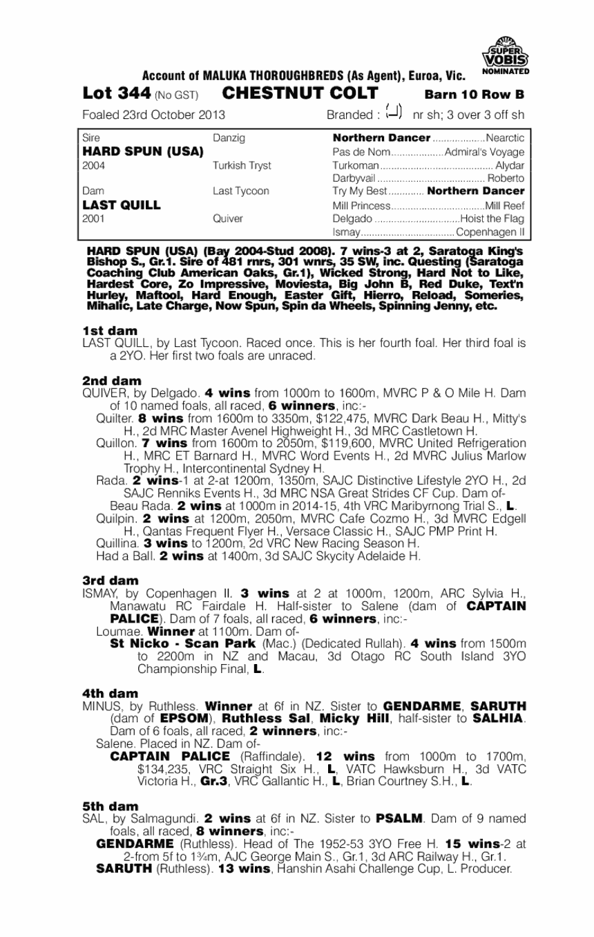 Hard Spun (USA) / Last Quill (AUS) - pedigree