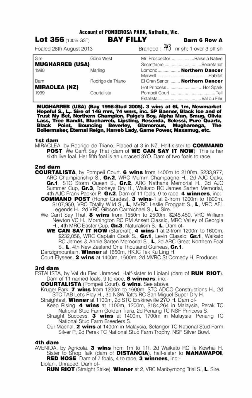 Mugharreb (USA) / Miraclea (NZ) - pedigree