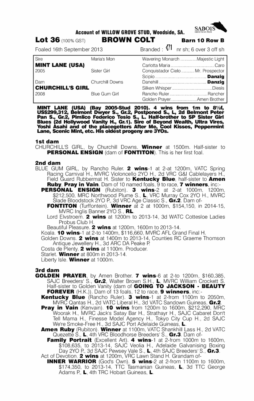 Mint Lane (USA) / Churchill's Girl (AUS) - pedigree