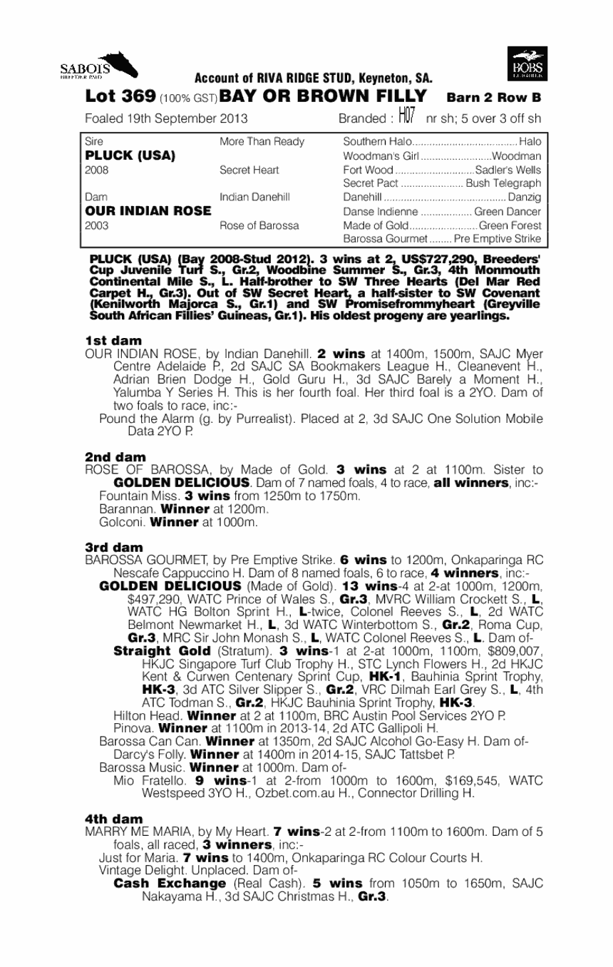 Jabalpur Rose (AUS) - pedigree