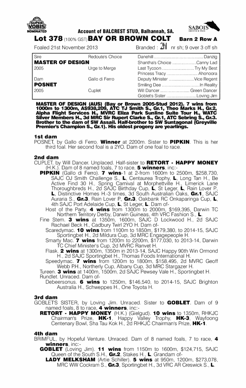 Master of Design (AUS) / Posnet (AUS) - pedigree